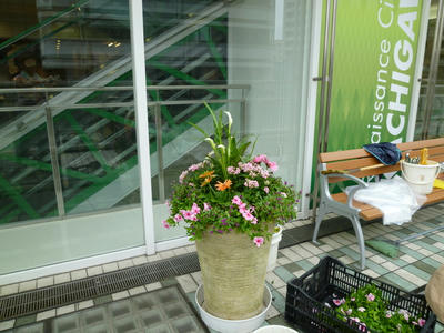P1030150.JPG