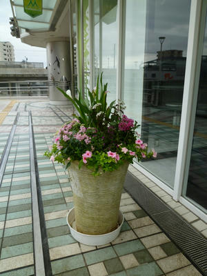 P1030152.JPG
