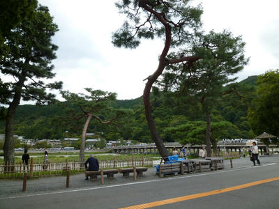 P1030257.JPG