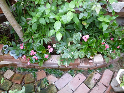 P1030208.JPG