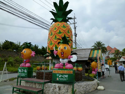 P1030634.JPG