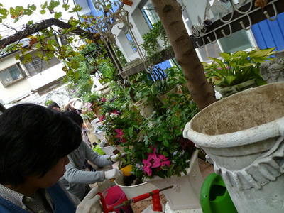 P1040056.JPG
