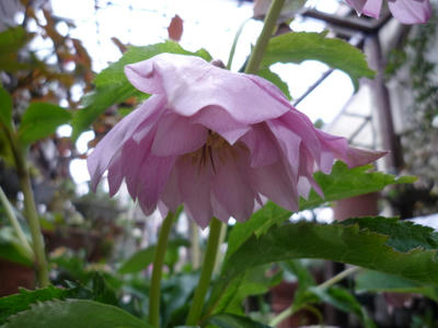 P1030022.JPG