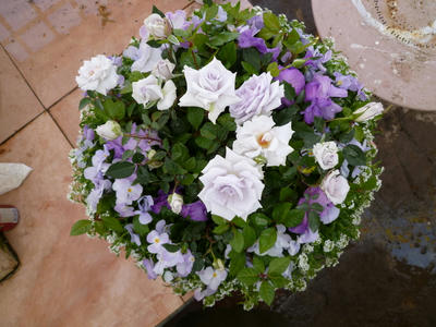 ae5334c0.JPG