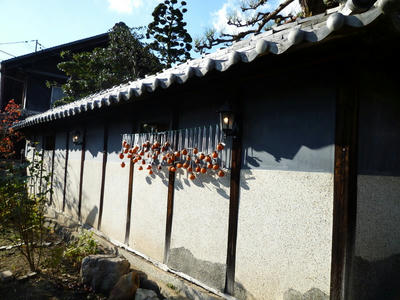 P1040536.JPG