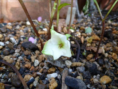 79f0704e.JPG