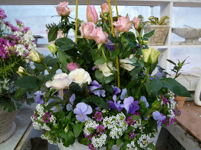 P1050055.JPG