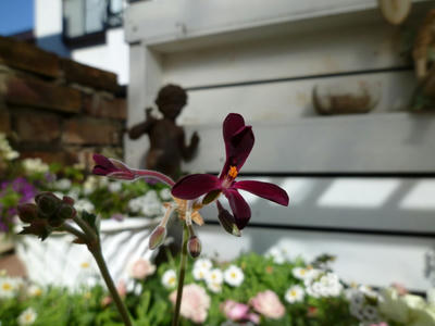 P1050026.JPG