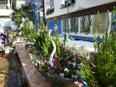 P1050209.JPG
