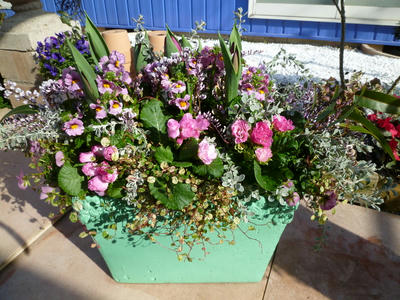P1050221.JPG