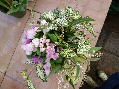 P1050225.JPG