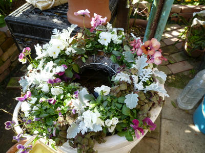 P1050421.JPG