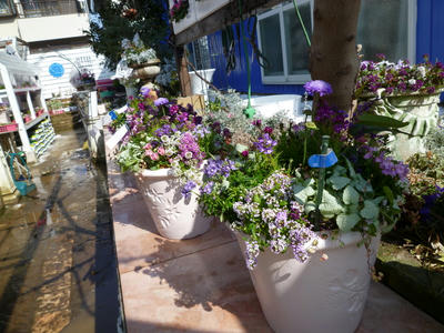 P1050684.JPG