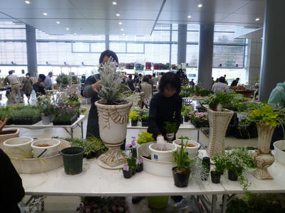 P1070330.JPG