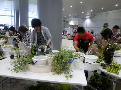 P1070336.JPG