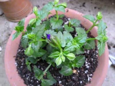 P1080015.JPG