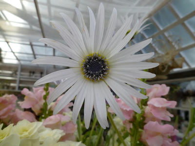 P1080100.JPG