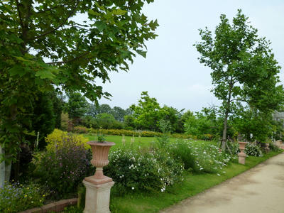P1080857.JPG