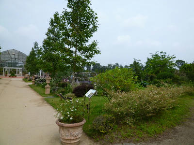 P1080856.JPG