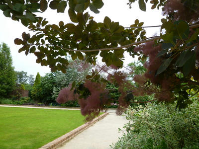 P1080898.JPG
