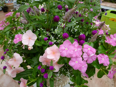 P1090100.JPG