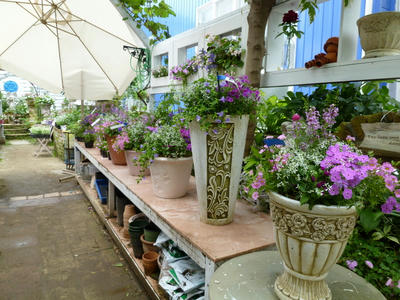 P1090164.JPG
