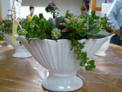 P1090642.JPG