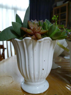 P1090641.JPG