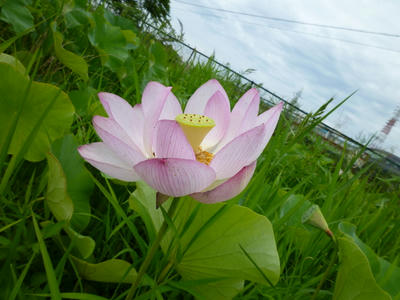 P1090676.JPG