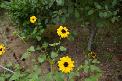 DSC00097.JPG