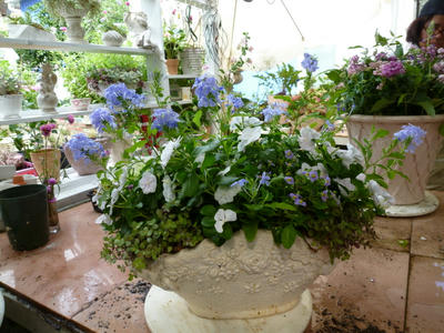 P1100004.JPG