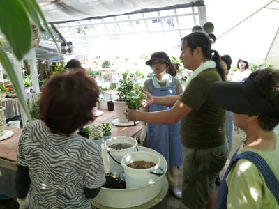 P1100104.JPG