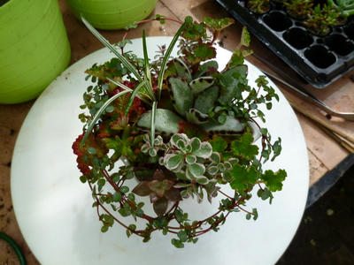 P1100454.JPG