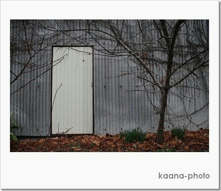 ka080305openthedoor.jpg