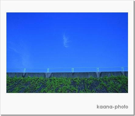 79a63a64.jpg