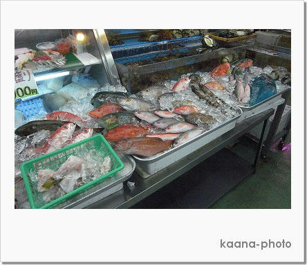 ka100902sakana.jpg