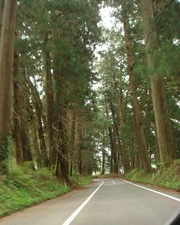 GW旅行,ゴールデンウィーク,栃木県名所,日光,いろは坂,鬼怒川温泉,日光杉並木街道