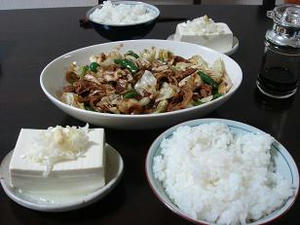 今日の晩御飯,回鍋肉,ホイコウロウ,冷奴,冷ややっこ,献立,夕食のメニュー,自宅でご飯