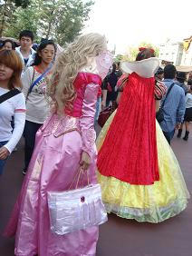 東京ディズニーランド,ハロウィン,全身仮装OK,ディズニーコスプレ,写真,グッズ,DVD