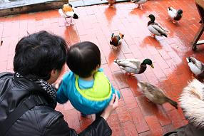 掛川花鳥園,子連れお出かけスポット,雨でも大丈夫,感想,レビュー,口コミ