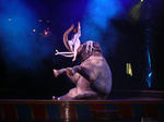 081807a.jpg