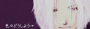 081105_hijikata.jpg