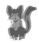 kuro110619.jpg