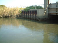 DSCF0015.JPG