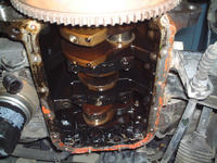 DSCF0050.JPG