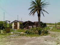 0977aeea.jpg