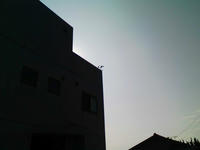 KC3A0207.JPG