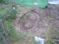 SN3E0155.JPG
