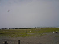 SN3E0220.JPG