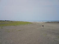 SN3E0221.JPG